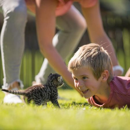 Ranstl Ferienwohnungen Flachau Kültér fotó