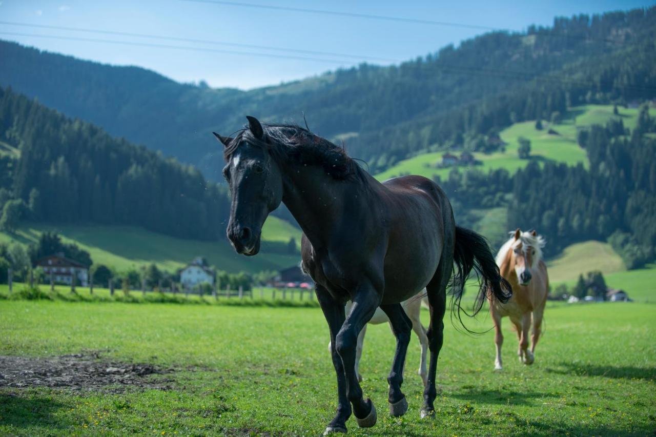 Ranstl Ferienwohnungen Flachau Kültér fotó